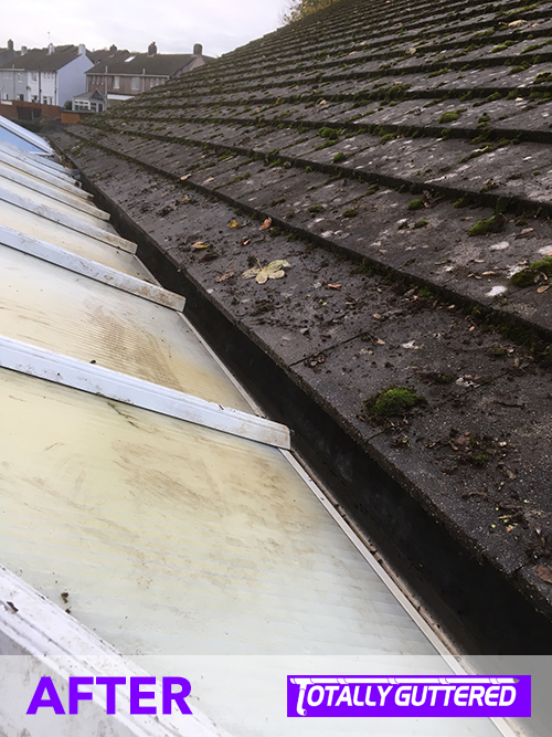 The cleared and cleaned gutter, ready to do what it was designed for