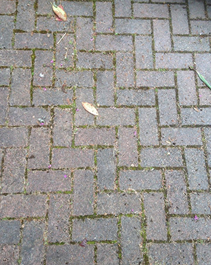 Patio in desperate need of a good clean