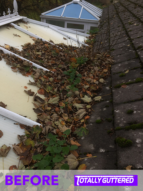 The tip of the iceberg - this was a particularly bad blocked gutter